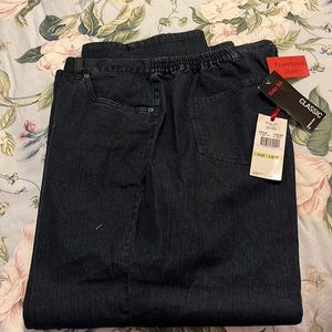 Ruby Rd NWT 18 W Short Length Dk Jeans